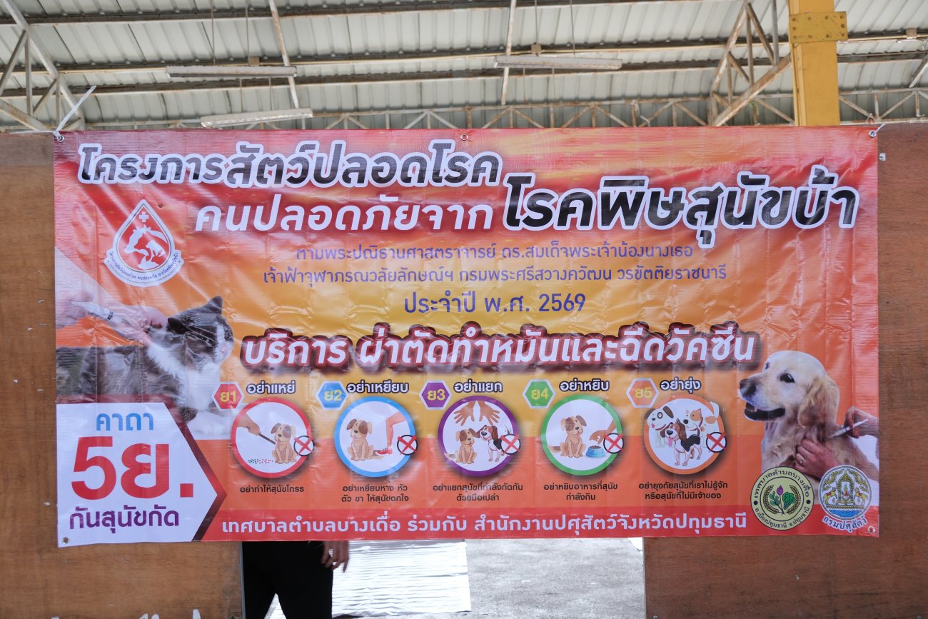 โครงการทำหมันสุนัขและแมว